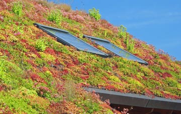 Coldbackie living roof systems