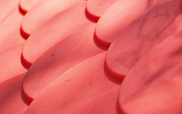 Coldbackie plastic roof costs