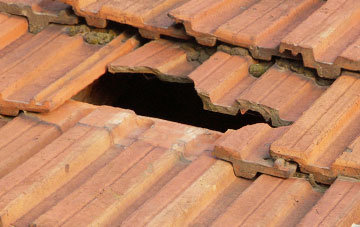 roof repair Coldbackie, Highland