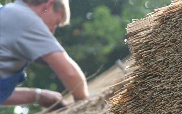 professional Coldbackie thatchers