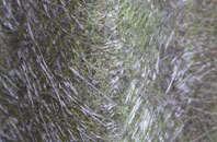 Coldbackie fibreglass roof work